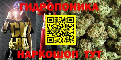 мяу мяу мука Донской
