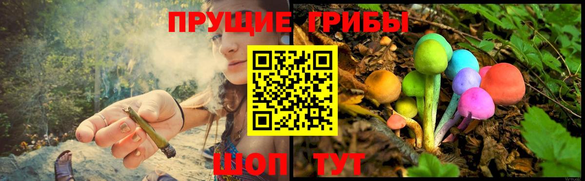 Галлюциногенные грибы мицелий Невинномысск